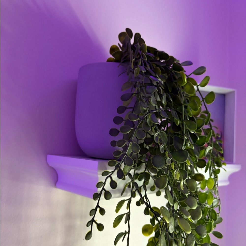 Greenery in White Planter
